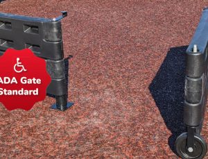 APS-GagaPit26- ActionPlay