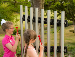 Alto Diatonic Freechimes-NEP