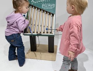 Chickadee Chime Panel- NEP