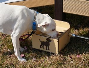 Dog Drinking Machine - Playmart