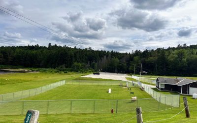 Ludlow-VT-Dog-Park